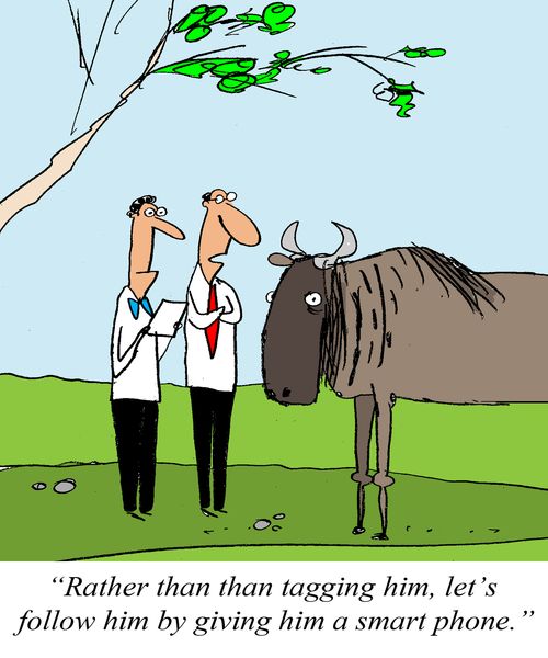 'Rather than tagging him, let's follow him by giving him a smart phone.'