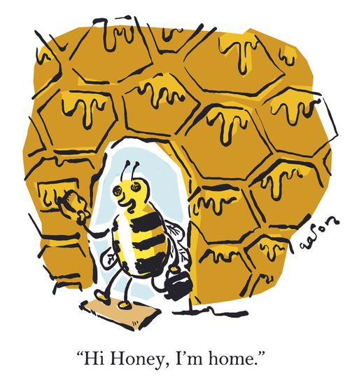 'Hi honey, I'm home!'