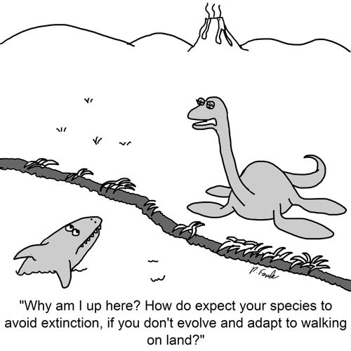 'Why am I up here? How do expect your species to avoid extinction, if you don't evolve and adapt to walking on land?'