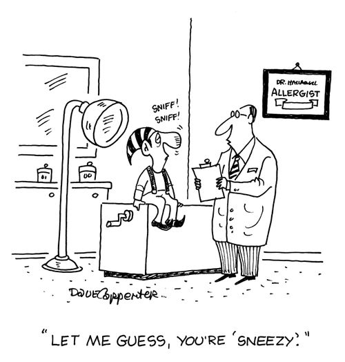 'Let me guess, you're 'Sneezy'.'
