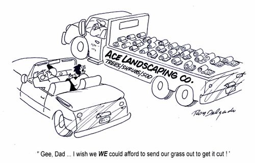 'Gee, Dad... I wish we could afford to send our grass like that to get it cut!'