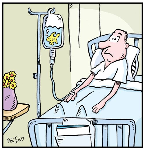 Man sitting in hospital bed notices a Goldfish swimming in his Intravenous Bag.