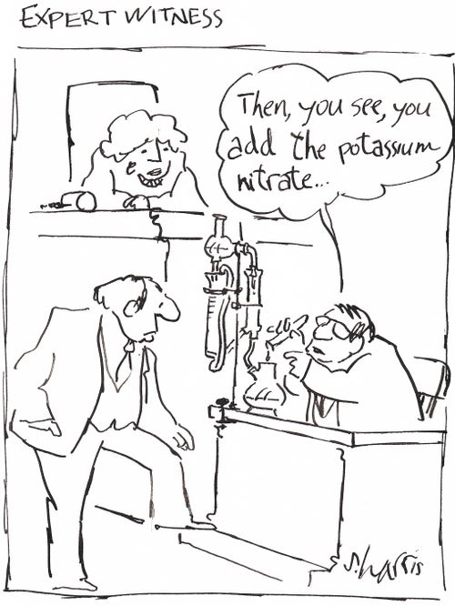 'Expert witness'  'Then, you see, you add the potassium nitrate...'