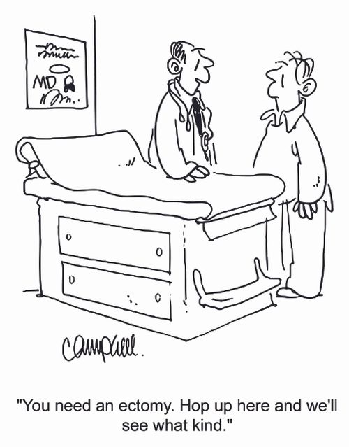 'You need an ectomy. Hop up here and we'll see what kind.'
