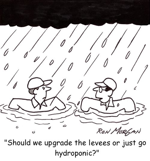 'Should we upgrade the levees or just go hydroponic?'