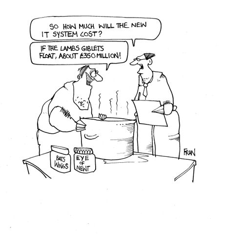 "So how much will the new IT system cost?"
