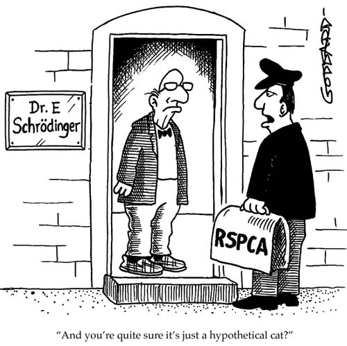 'And you're quite sure it's just a hypothetical cat?'