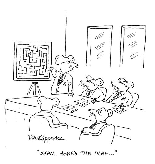 'Okay, here's the plan...'
