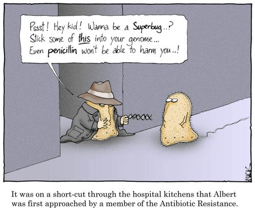 It was a short-cut through the hospital kitchens that Albert was first approached by a member of the antibiotic resistance.