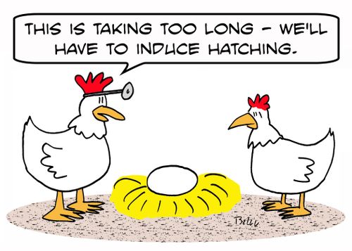 'This is taking too long - we'll have to induce hatching.'