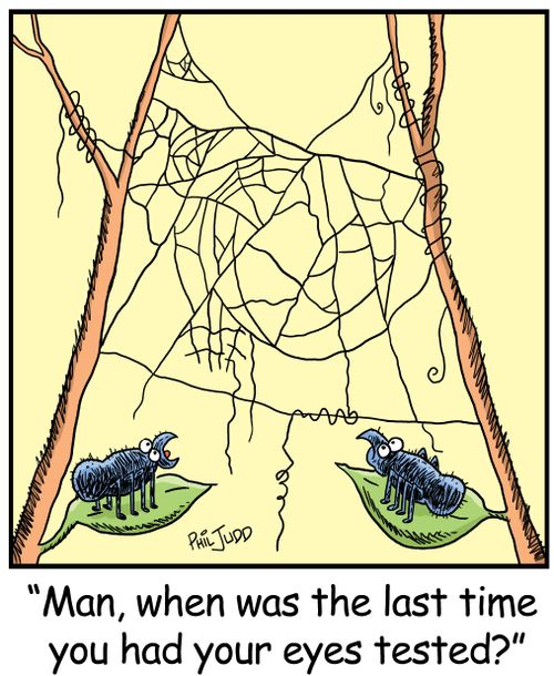 'Man, when was the last time you had your eyes tested?'