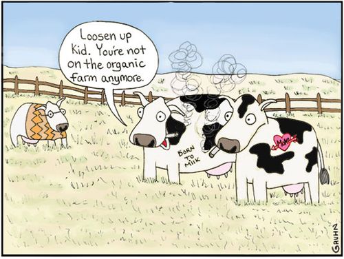 'Loosen up kid. You're not on the organic farm any more.'