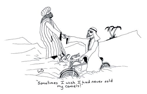 'Sometimes I wish I had never sold my camels!'