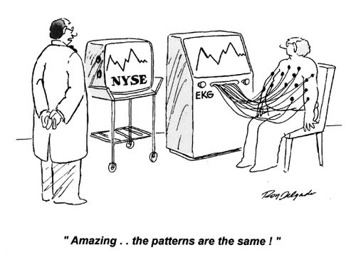 'Amazing... the patterns are the same!'
