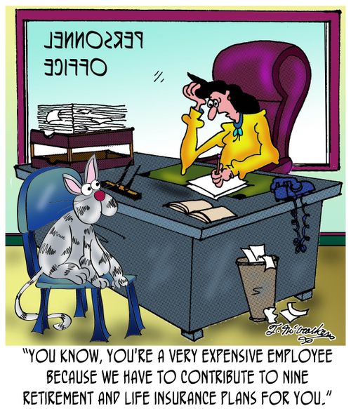 'You know, you're a very expensive employee because we have to contribute to nine retirement and life insurance plans for you.'