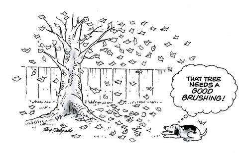 'That tree needs a good brushing.'
