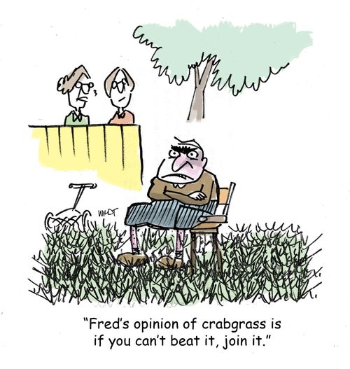 'Fred's opinion of crab grass is if you can't beat it, join it.'