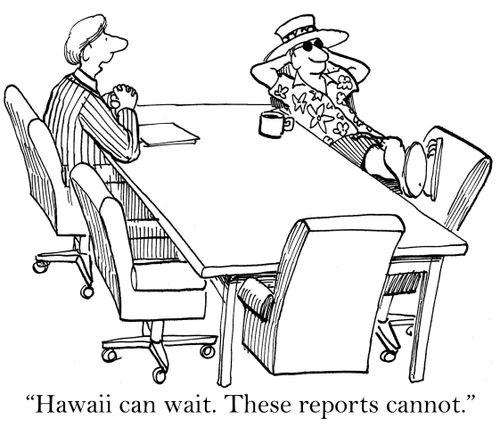 'Hawaii can wait. These reports cannot.'