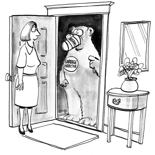 The bear inspects and eats the garbage.