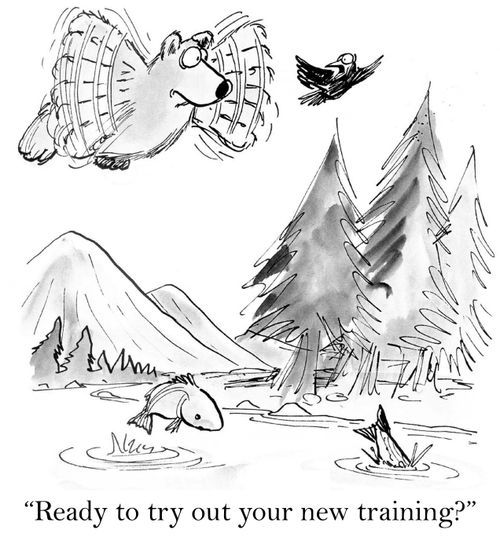 'Ready to try out your new training?'