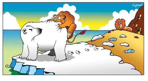 Polar bears attacked by lions.