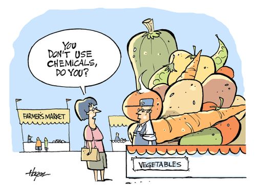 'You don't use chemicals, do you?'