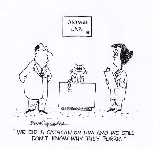 'We did a catscan on him and we still don't know why they purr.'