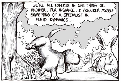 'We're all experts in one thing or another. For instance, I consider myself something of a specialist in fluid dynamics...'