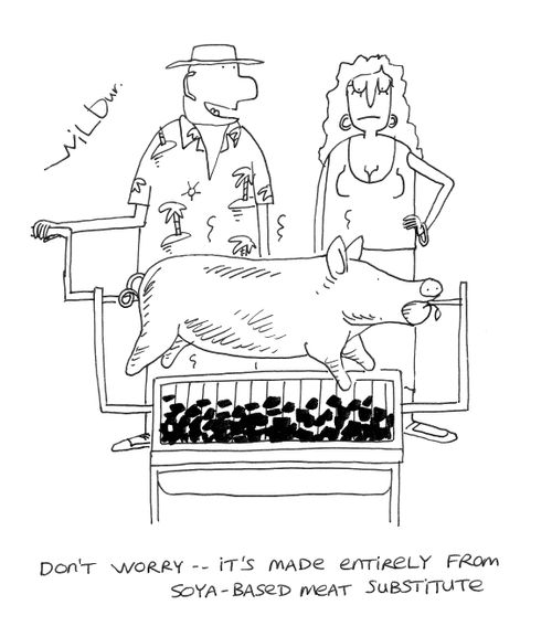 'Don't worry - it's made entirely from soya-based meat substitute.'