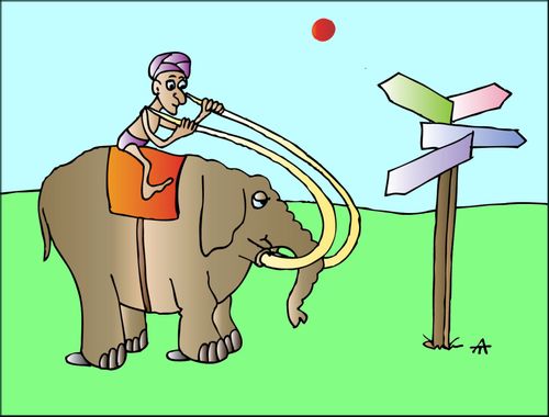 Elephant Ride
