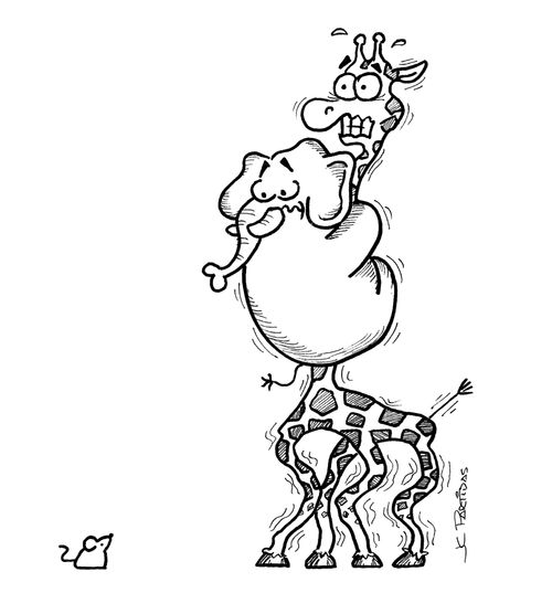 Elephant scared of a mouse jumps to a giraffe's neck.