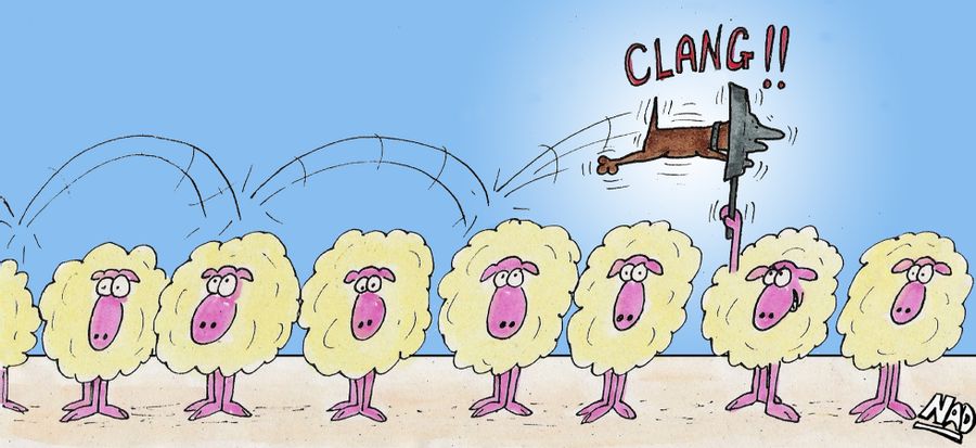 Sheep dog jumping across sheep - and one of the sheep hits him with a frying pan