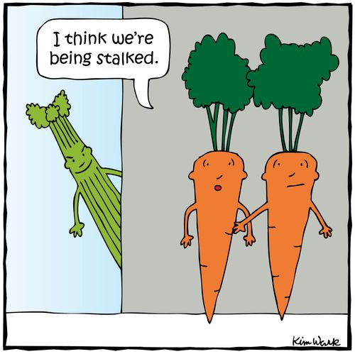 'I think we're being stalked.'