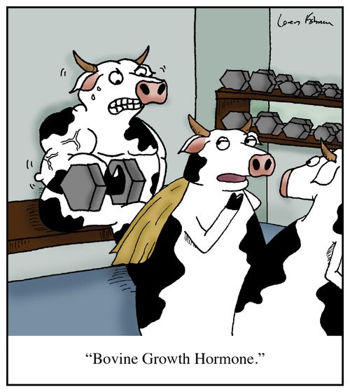 'Bovine Growth Hormone.'