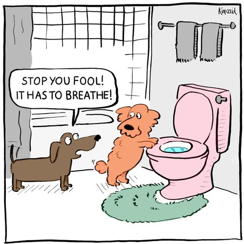 'Stop you fool! It has to breathe!'