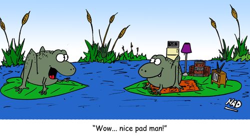 Meanwhile back at the pond 'Wow... nice pad man!'