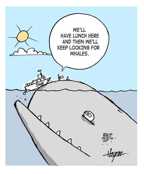 'We'll have lunch here and then we'll keep looking for whales.'
