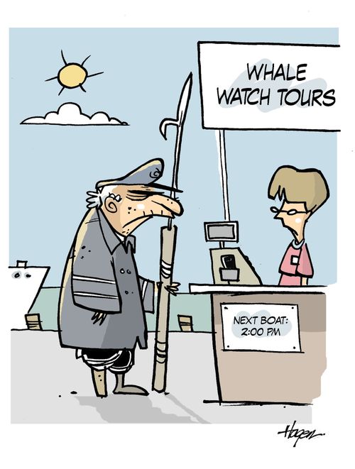 Whale Watch Tours.