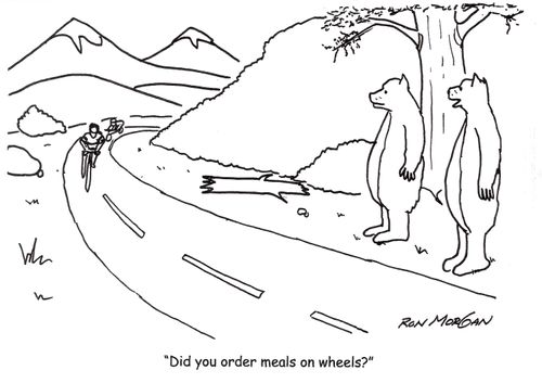 'Did you order meals on wheels?'