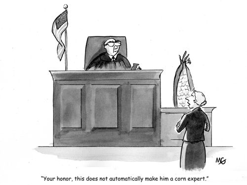 'Your Honor, this does not automatically make him a corn expert.'
