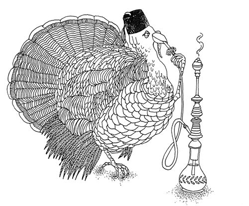 Turkey smoking a hookah.