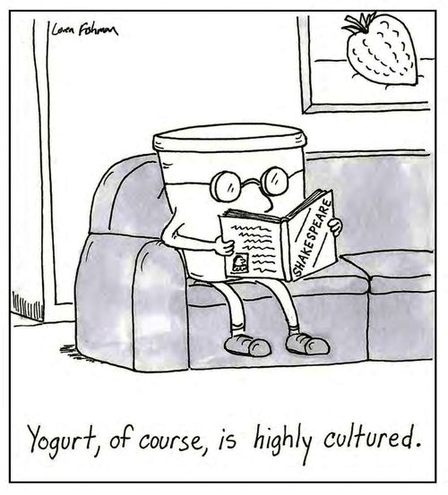 Yogurt, of course, is highly cultured.
