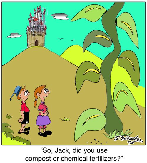 'So, did you use compost or chemical fertilizers?'