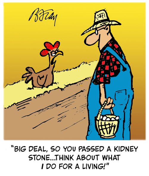 'Big deal, so you passed a kidney stone...think about what I do for a living!'