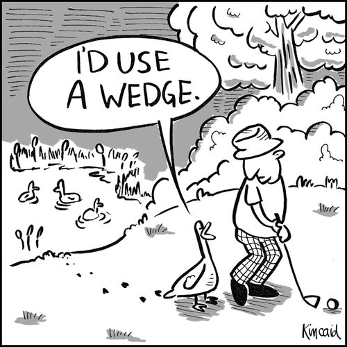 'I'd use a wedge.'