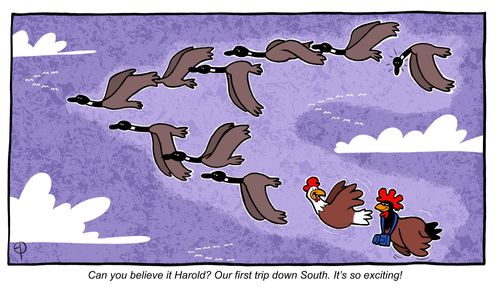 'Can you believe it Harold? Our first trip down South. It's so exciting!'