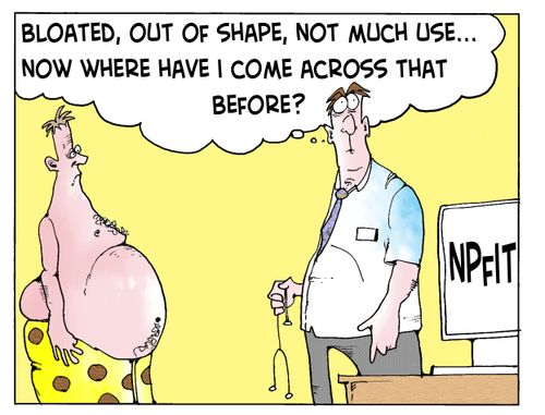 "Bloated, out of shape, not much use...now where have I come across this before?" NPfIT