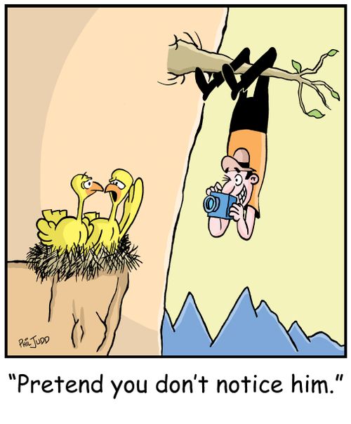 'Pretend you don't notice him.'