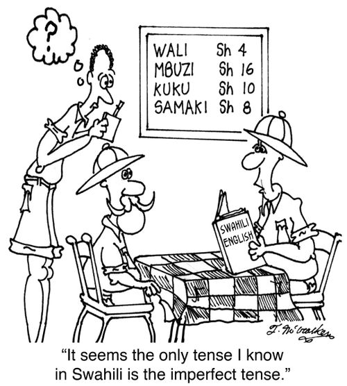 'It seems the only tense I know in Swahili is the imperfect tense.'