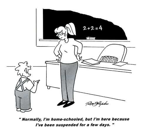 'Normally, I'm home-schooled, but I'm here because I've been suspended for a few days.'